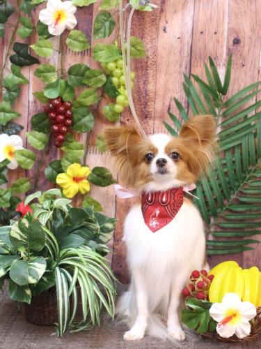 20230811ぎゅうちゃん